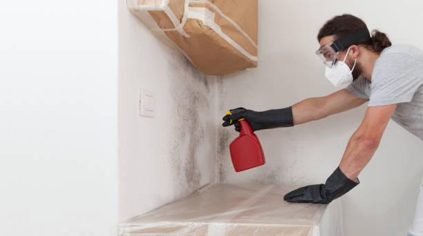 Professional Mold Testing technician working in Amityville, NY